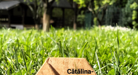 ÎN CĂUTAREA LOCULUI PE CARE SĂ-L NUMEȘTI ACASĂ SAU DE CE SĂ ALEGI COMUNA CĂLUGĂRENI, PRAHOVA