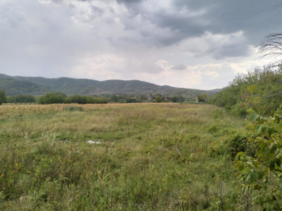 Oportunitate de investitie, teren intravilan, 6018 mp, Unguriu Buzau