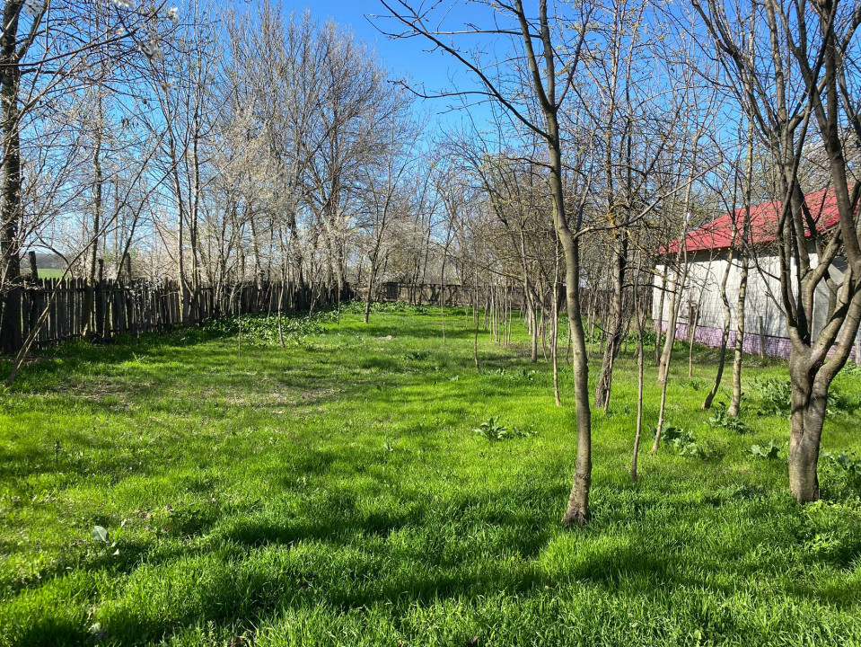 Teren 4975 mp situat in intravilanul satului Belciug, Draganesti-Prahova