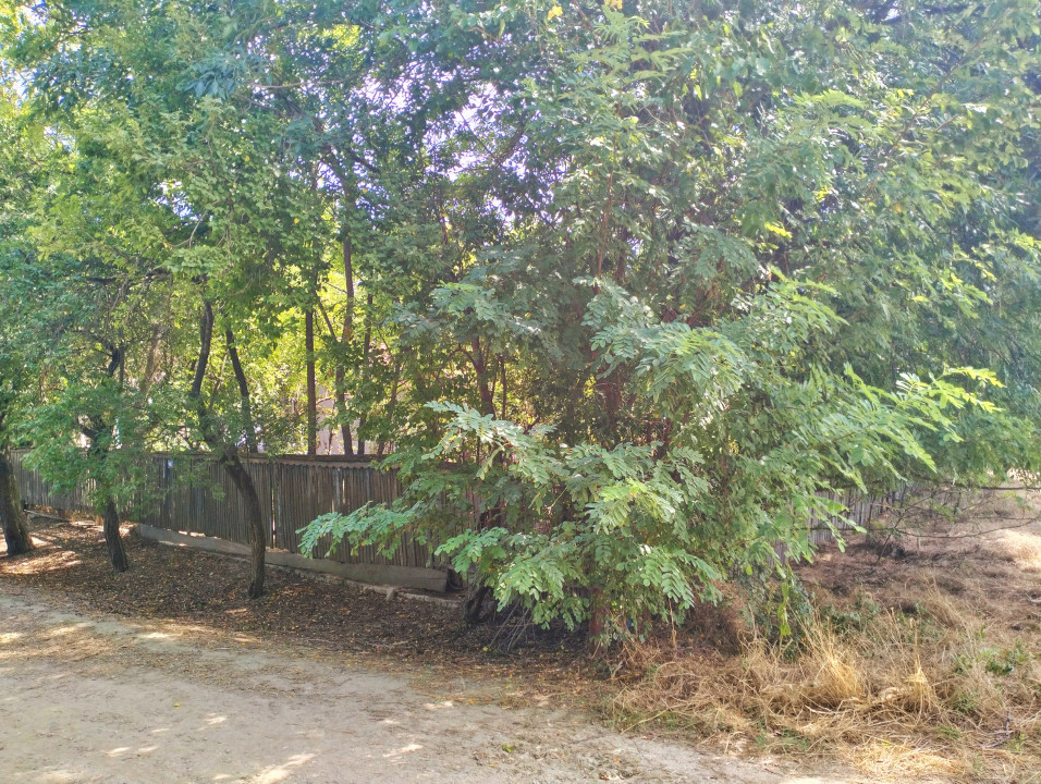 Teren 4975 mp situat in intravilanul satului Belciug, Draganesti-Prahova