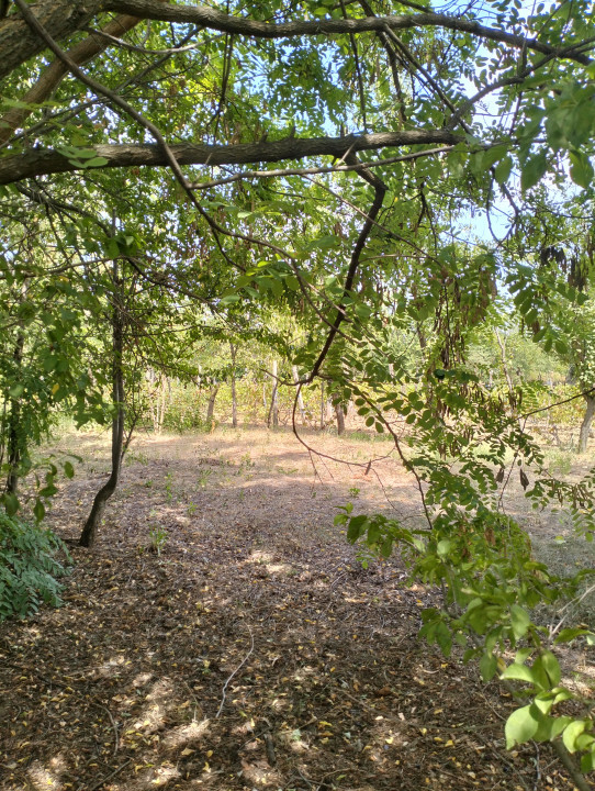 Teren 4975 mp situat in intravilanul satului Belciug, Draganesti-Prahova