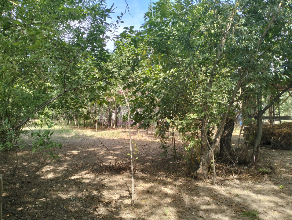 Teren 4975 mp situat in intravilanul satului Belciug, Draganesti-Prahova