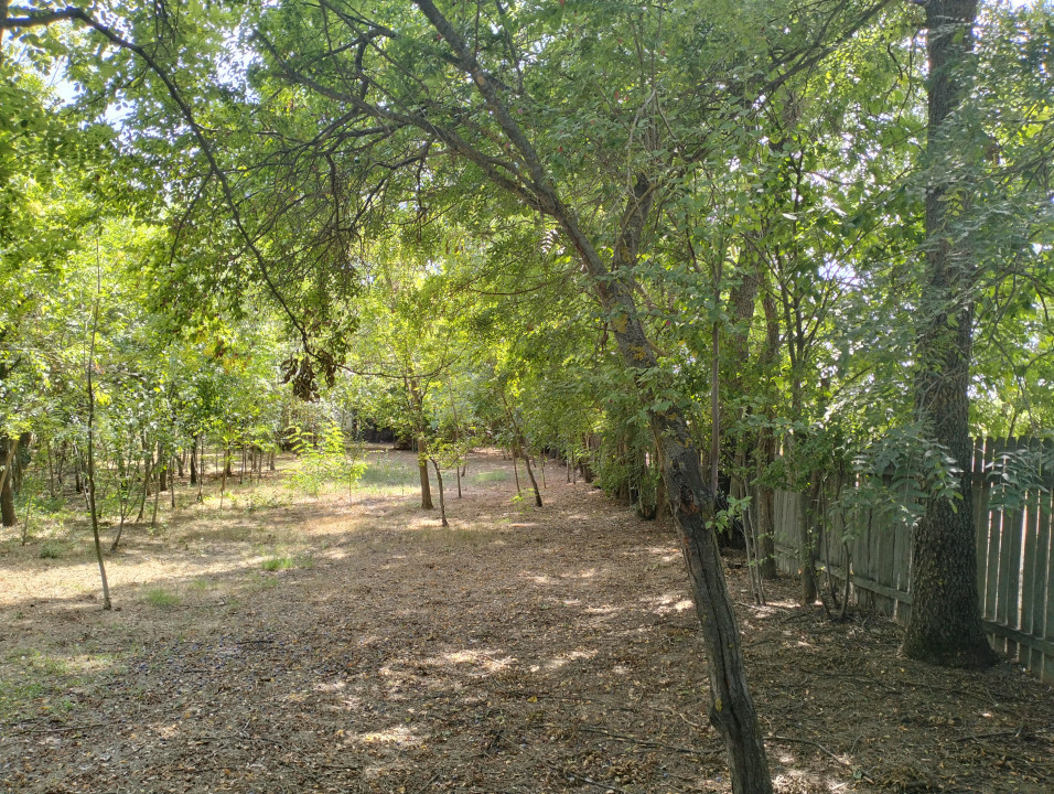 Teren 4975 mp situat in intravilanul satului Belciug, Draganesti-Prahova