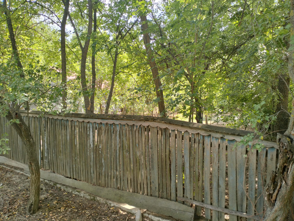 Teren 4975 mp situat in intravilanul satului Belciug, Draganesti-Prahova