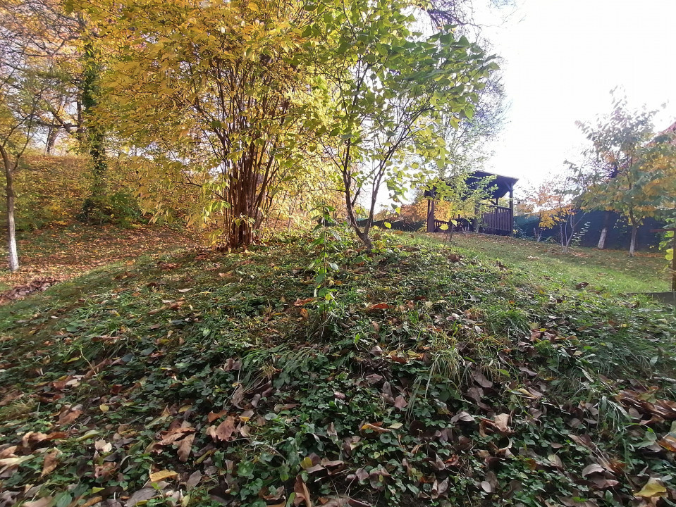 Imobil regim de inaltime p+m, Comarnic