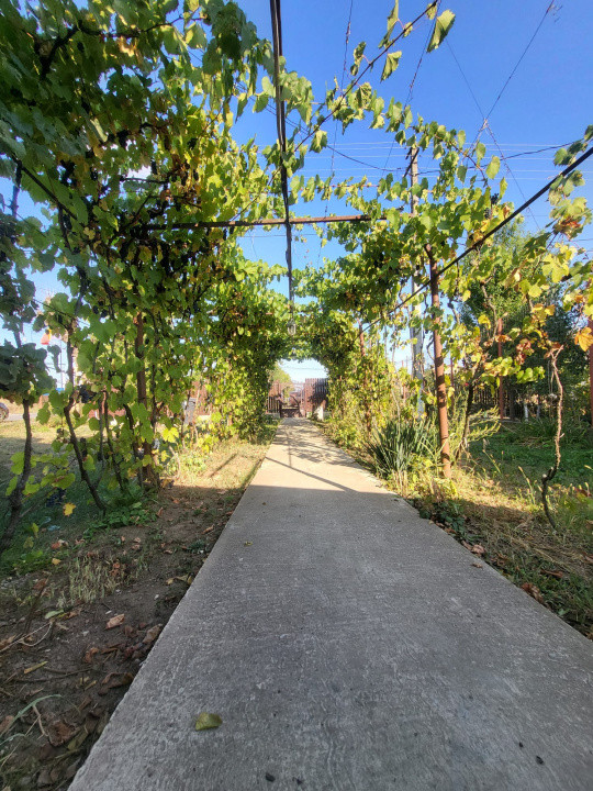 Casa Lipanesti, Judetul Prahova