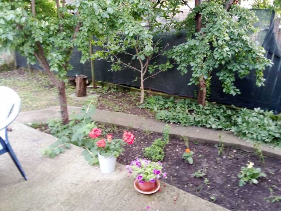 Casa 5 camere, regim de înălțime p+1, Bereasca, Ploiesti 