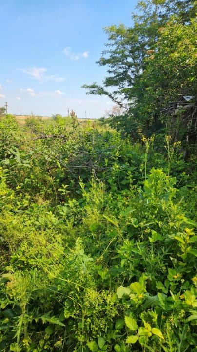 Teren intravilan 1.000 mp – Butimanu, Dâmbovița, 24 ml deschidere